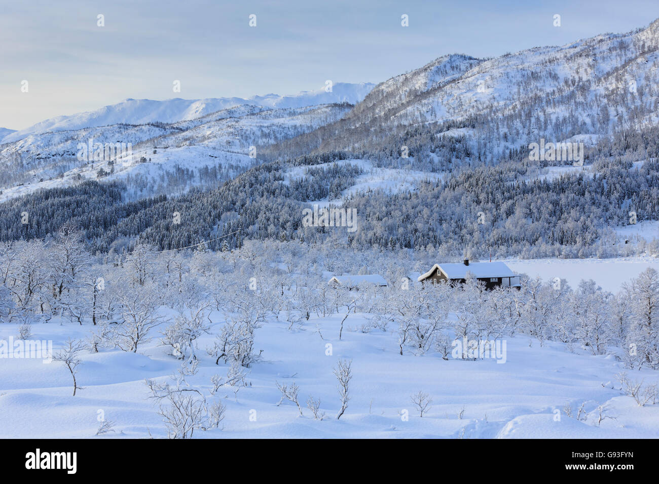 Paysage de la région viticole, maison entre arbres enneigés, Kanstadfjord, île de Hinnøya, Nordland, Norvège Banque D'Images