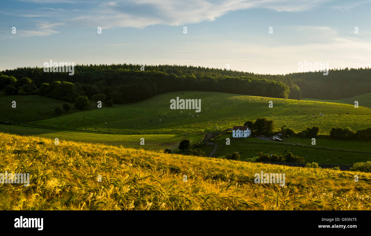 Gîte rural sur le Kent Downs, une partie de la North Downs et une zone de beauté naturelle exceptionnelle. Banque D'Images
