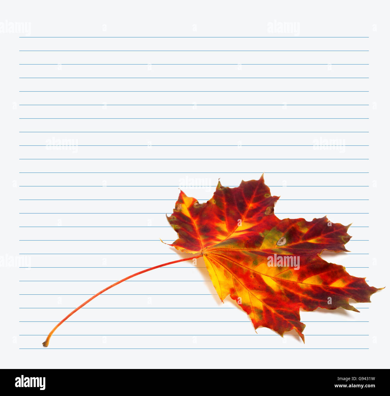 Automne feuilles d'érable multicolore et feuilles de carnet. Retour à l'école. Banque D'Images