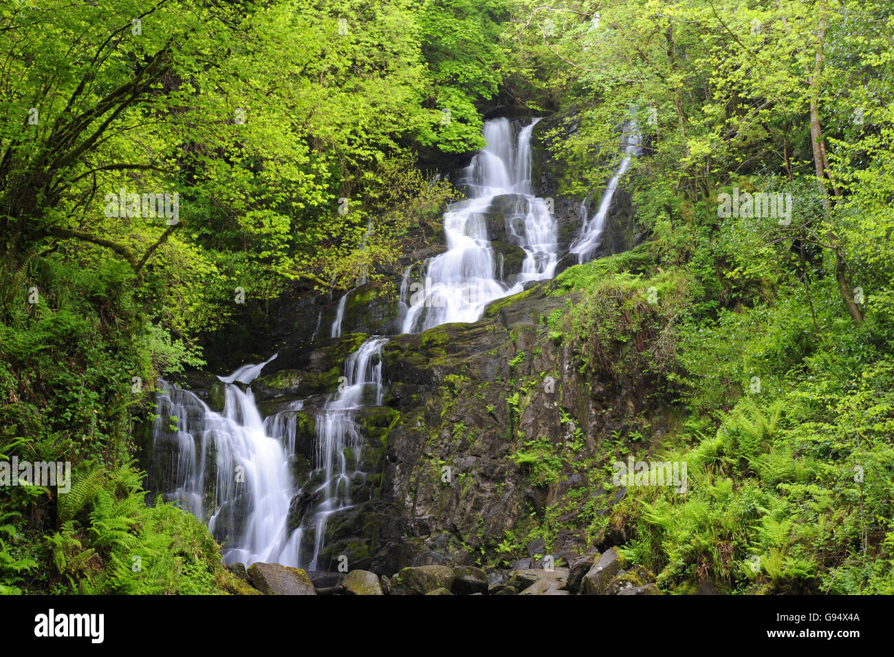 Torc Waterfall, Kallarney national park, Ring of Kerry, comté de Kerry, Irlande Banque D'Images