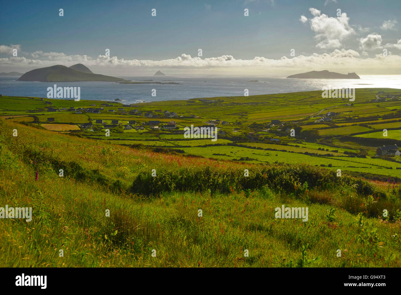 Les îles Blasket, péninsule de Dingle, comté de Kerry, Irlande / Les Blaskets Banque D'Images