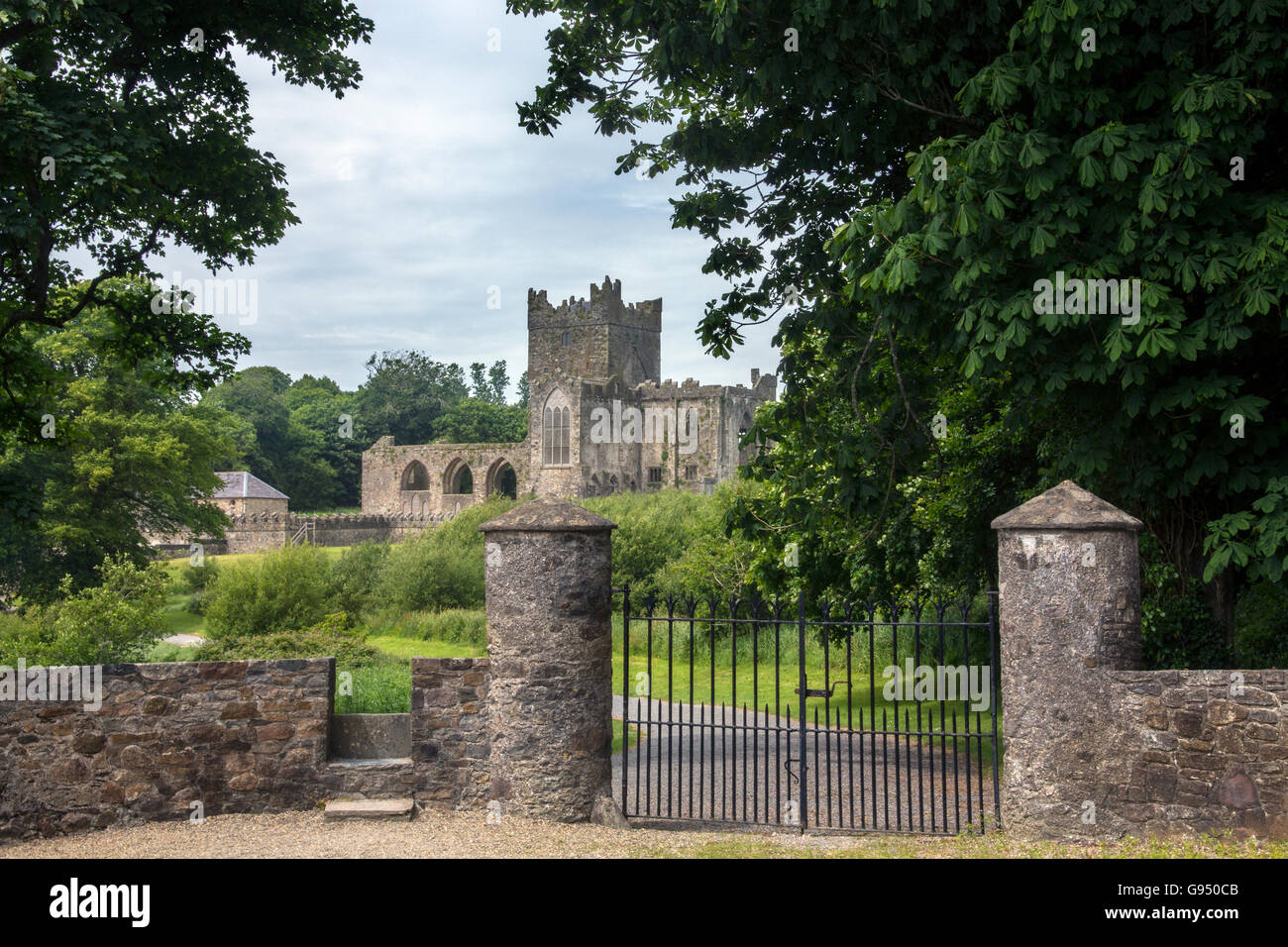 Abbaye de Tintern - les ruines d'une abbaye cistercienne située sur la péninsule de Hook, comté de Wexford, Irlande. Banque D'Images Abbaye de Tintern - les ruines d'une abbaye cistercienne située sur la péninsule de Hook, comté de Wexford, Irlande. Banque D'Images