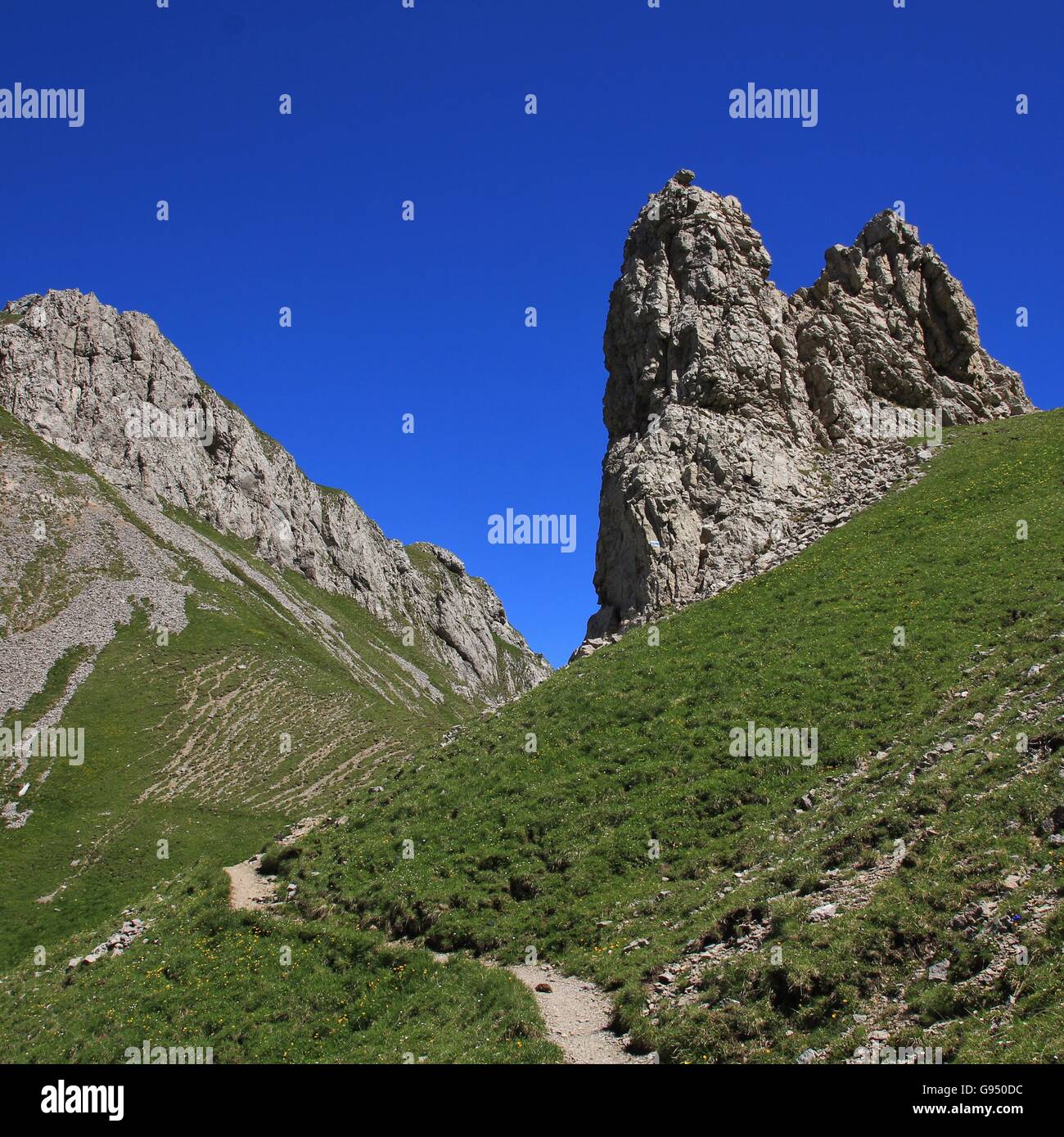 Rochers au bord d'une route de montagne dans la gamme de l'Alpstein. Randonnée à pied dans les Alpes suisses. Banque D'Images