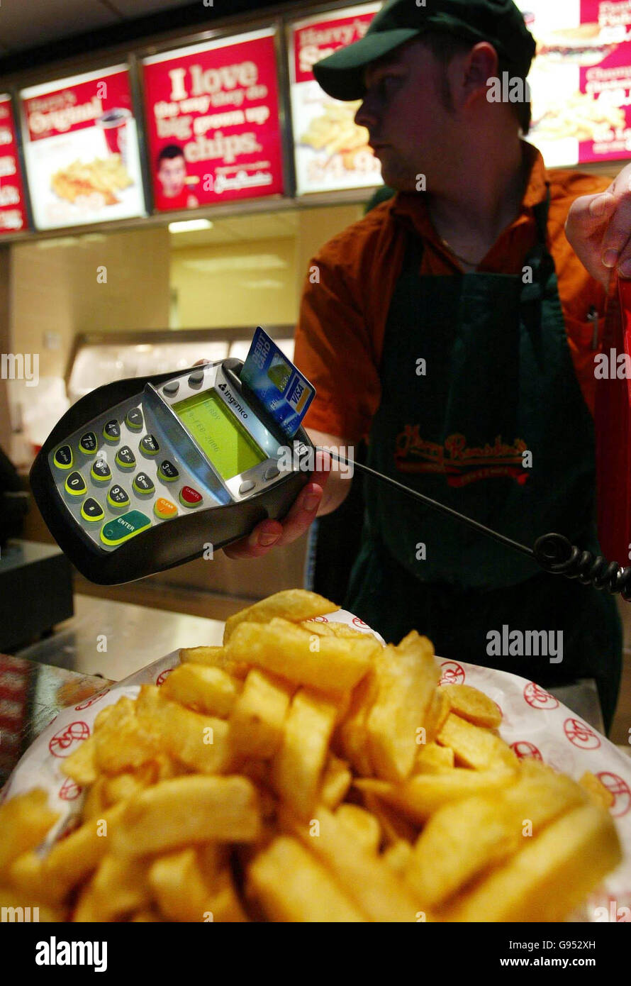 Pin d’argent Banque D'Images