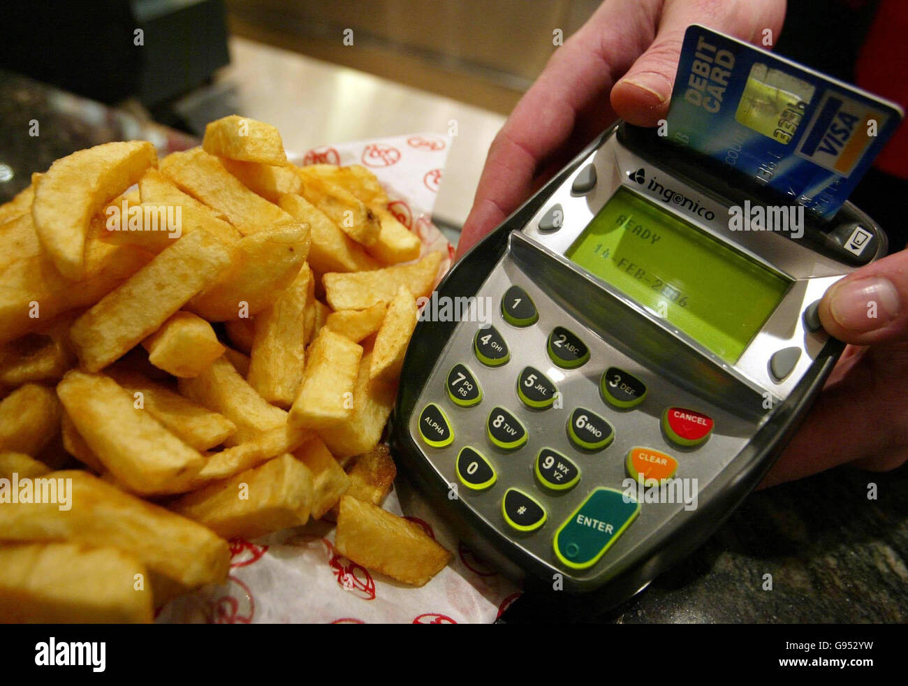 Pin d’argent Banque D'Images