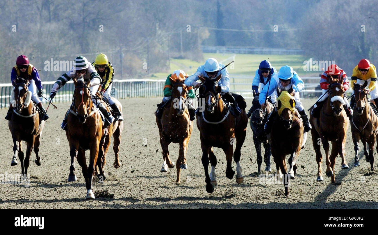 Le Concerto africain, monté par le jockey Frankie McDonald (deuxième à gauche), remporte le Betdirect sur les courses Interactive en revendiquant des enjeux à Lingfield Park, Surrey, jeudi 2 mars 3006.APPUYEZ SUR ASSOCIATION photo.Le crédit photo devrait se lire : Sean Dempsey/PA. Banque D'Images