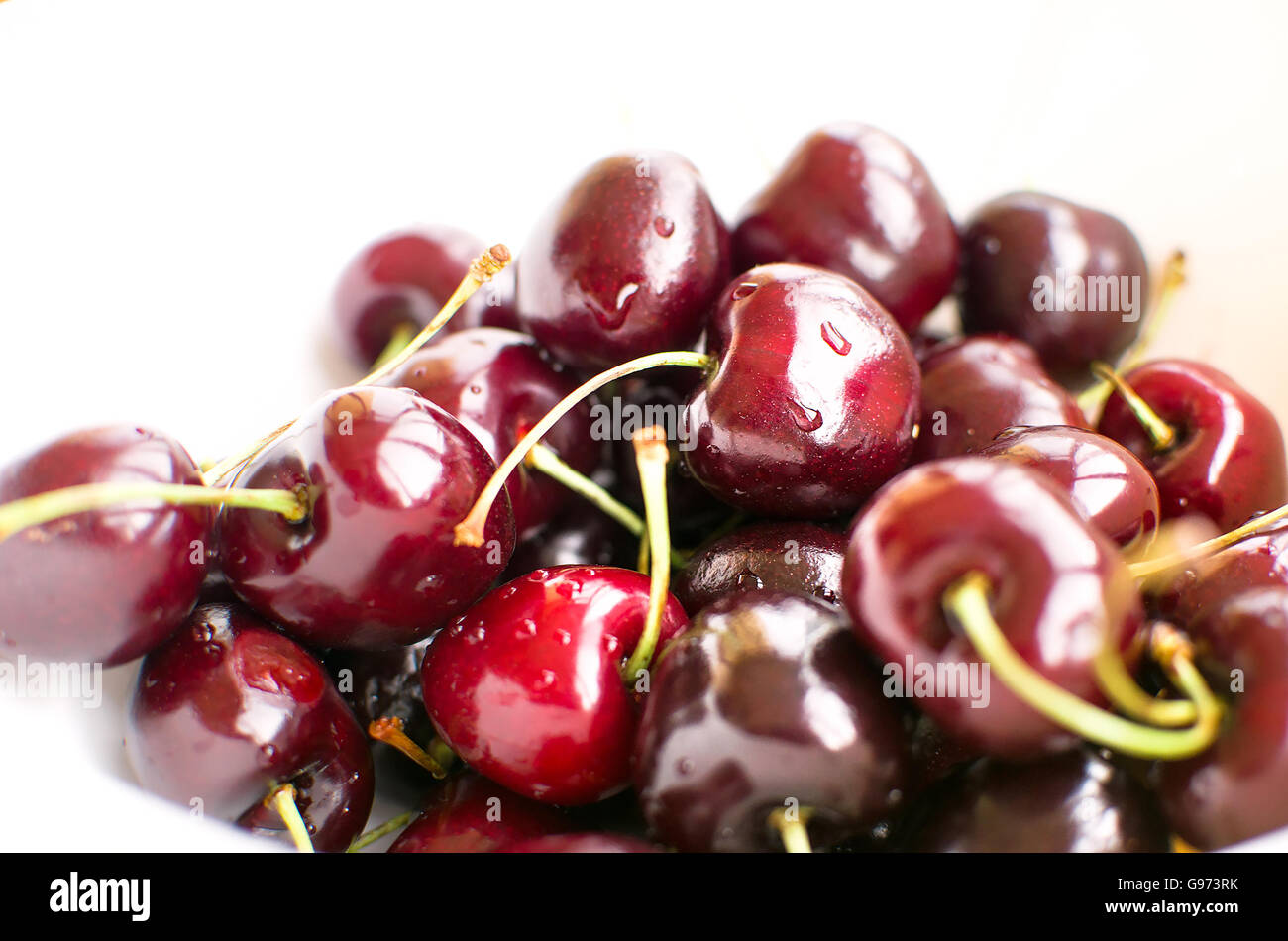 Big Black cerises appelées Duroni typique de Vignola italie fond blanc Banque D'Images