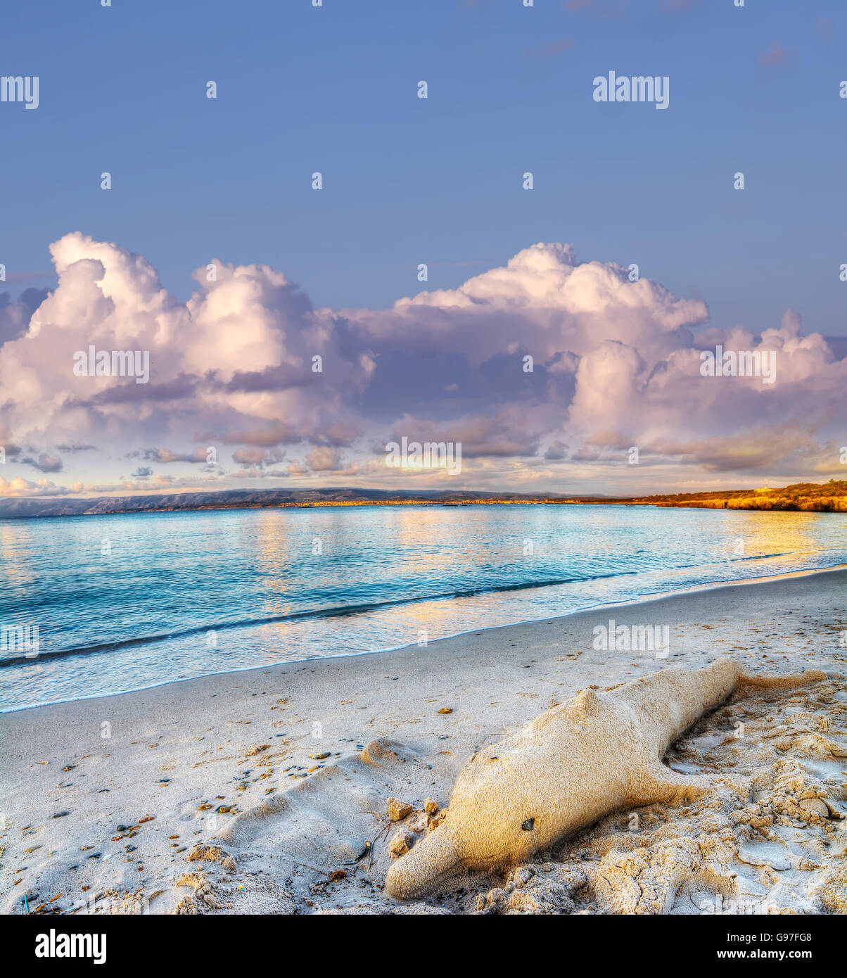 Paysage de plage d'été, ornements de paysage marin, soleil dauphin