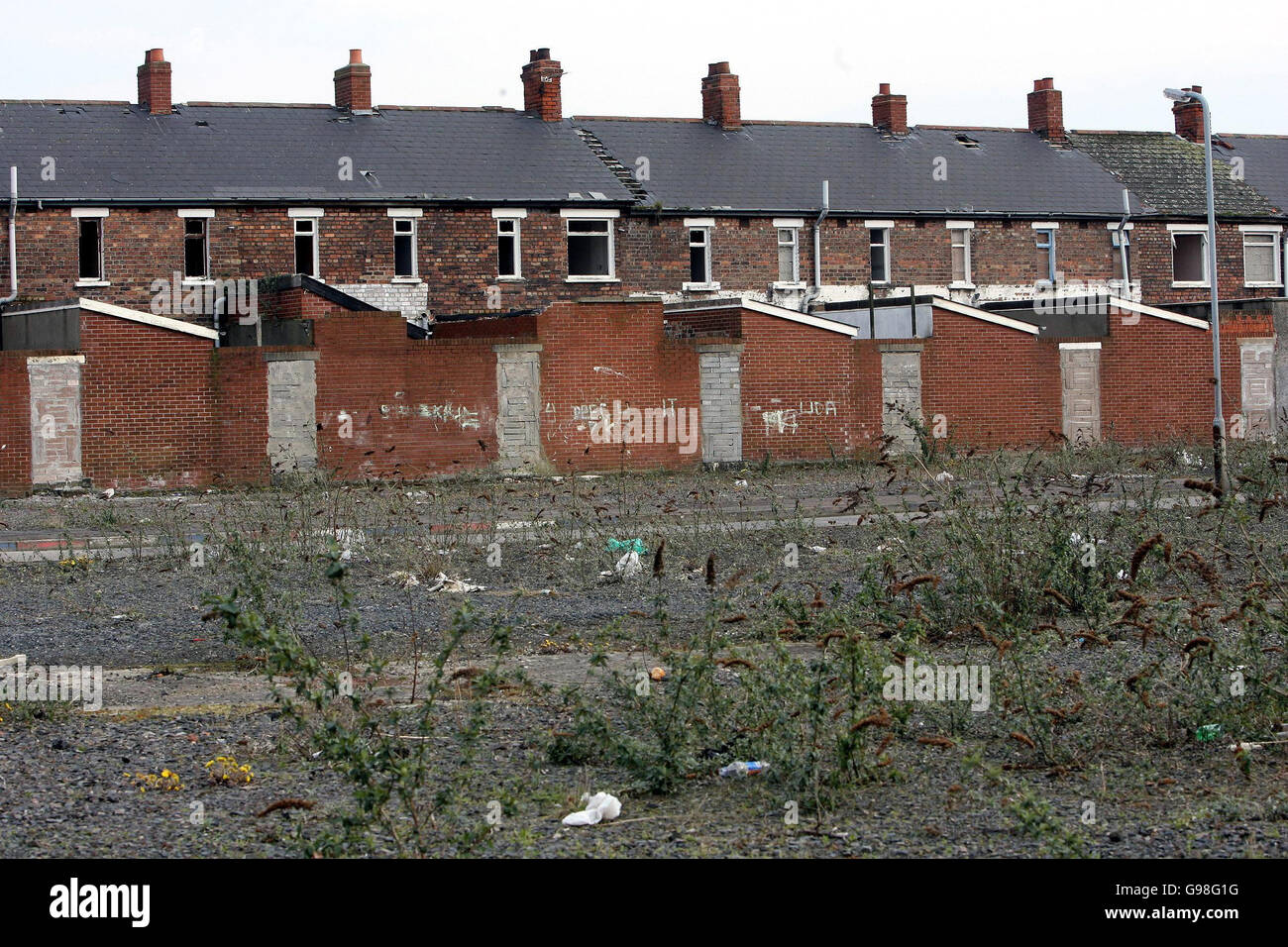 Litière d’ULSTER Banque D'Images