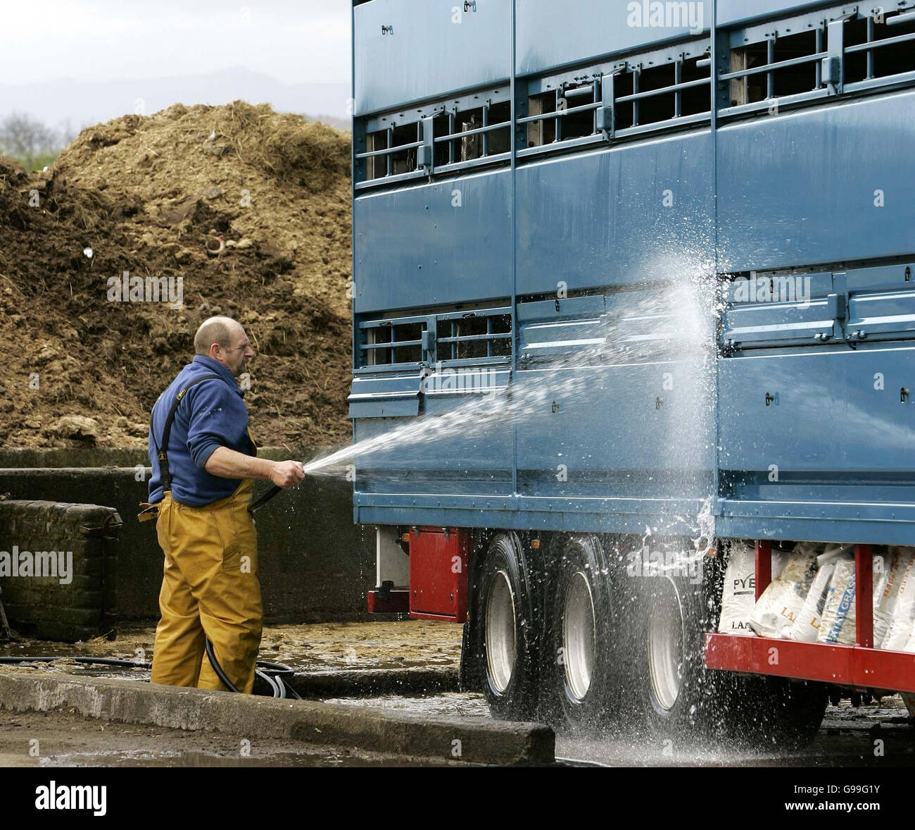 Un transporteur de bétail est nettoyé après avoir déposé les animaux à Kildean marché près de Stirling à l'encan sur le jour, le commerce d'exportation de viande bovine pour l'Europe a officiellement rouvert. Banque D'Images