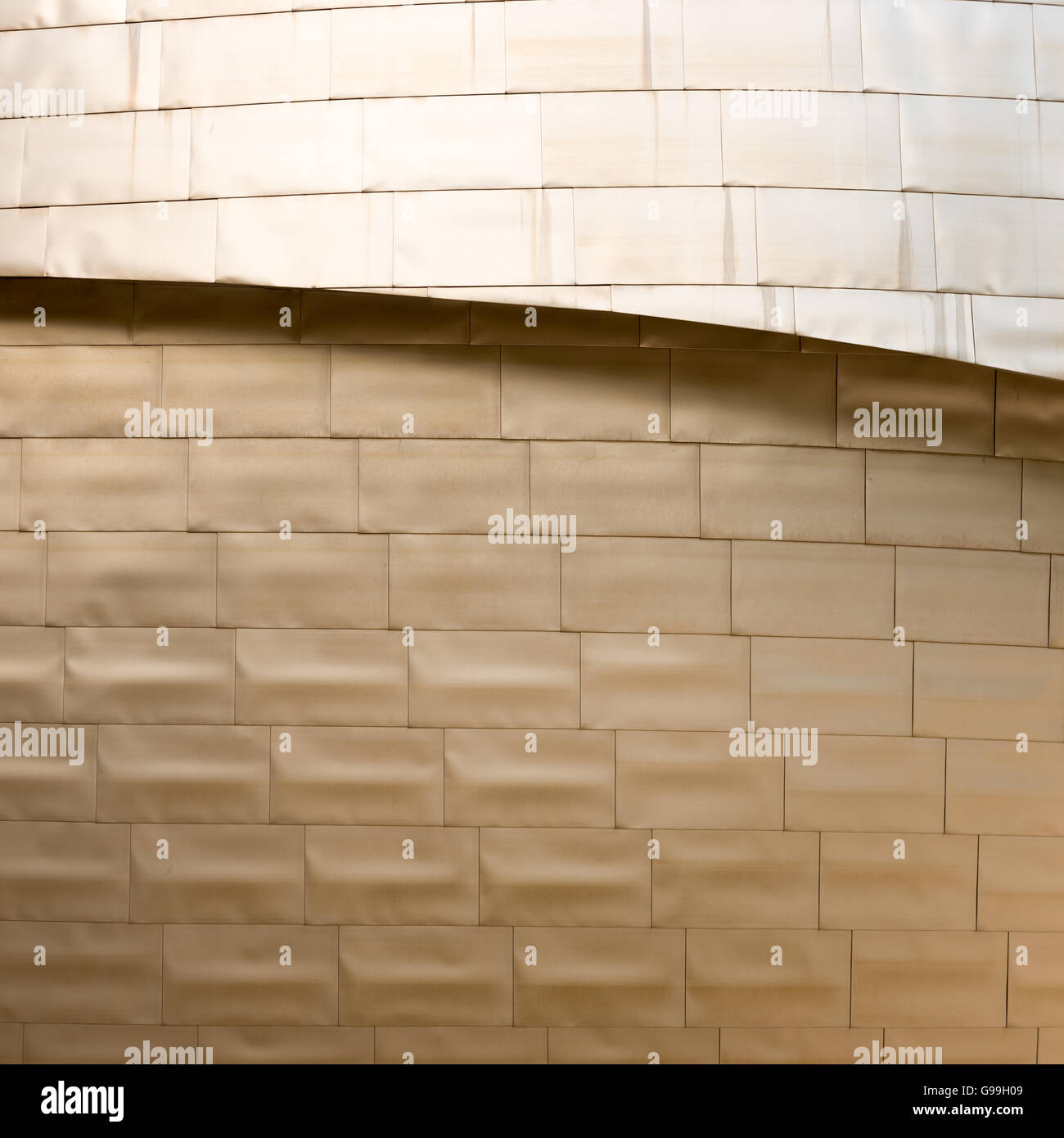Bilbao, Espagne- 6 octobre 2015 : façade du Musée Guggenheim de Bilbao, Pays Basque, Espagne Banque D'Images