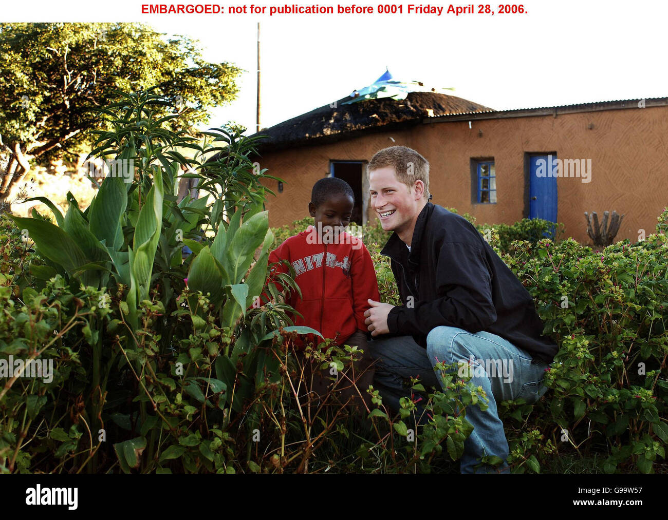 Le Prince Harry et Mutsu Potsane, 6 ans, inspectent l'arbre Peach (à gauche) qu'ils ont planté le 2004 mars, dans les jardins de la maison des enfants de Mants'ase, tandis que le Prince était en visite de retour au Lesotho en Afrique australe. Banque D'Images