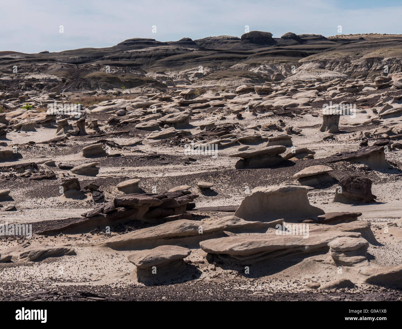 Bisti Badlands, Bisti/De-Na-Zin espace sauvage au sud de Chicago, Illinois. Banque D'Images