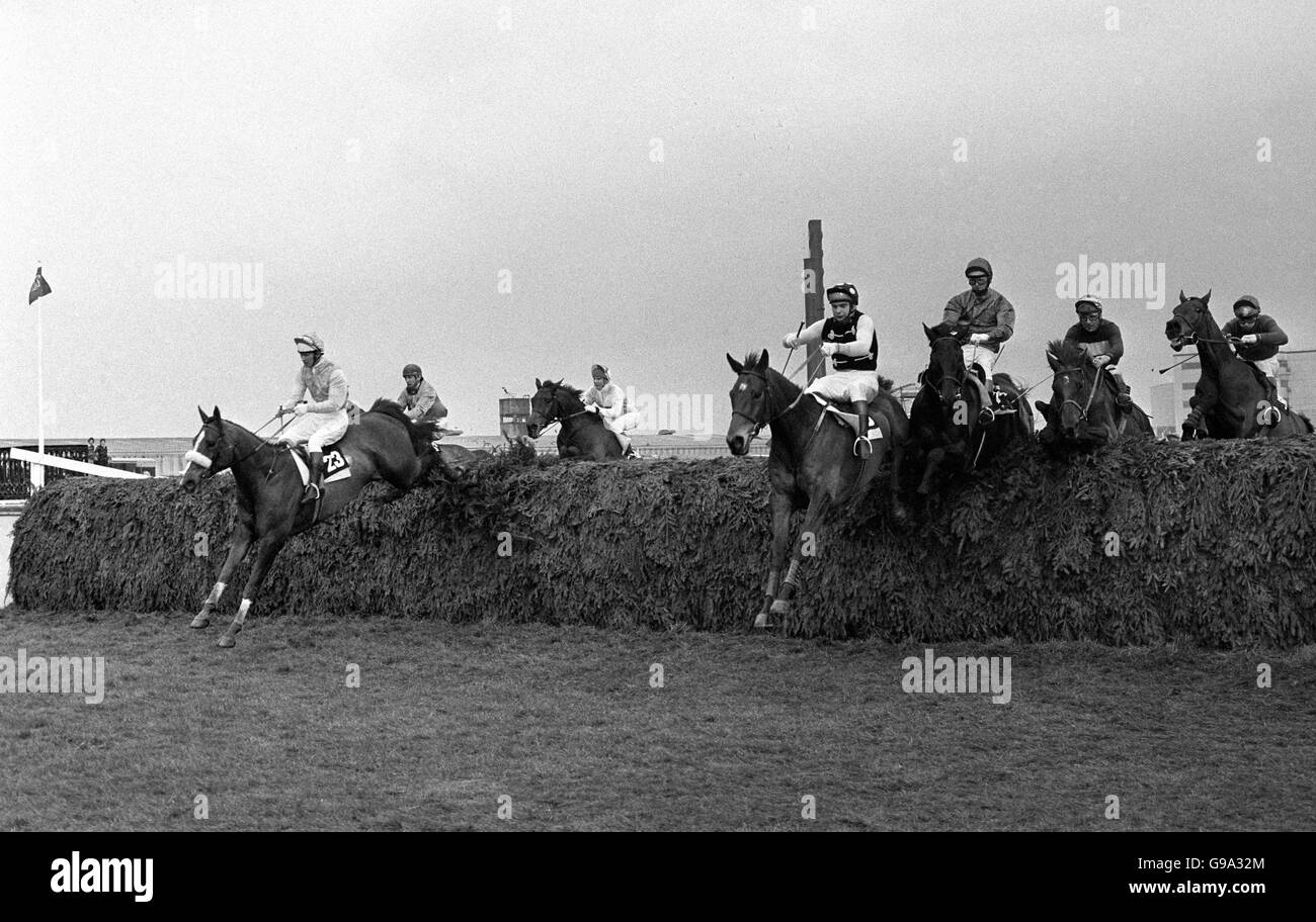 Au-dessus de la clôture de la chaise pendant le premier circuit et Lucius (quatrième de droite et finalement vainqueur) criblé par Bob Davies, est bien placé amoght les leaders. À gauche (n° 23) est Sebastina V (Radley Lamb UP) terminé deuxième et Drumroan (troisième de droite) avec Gerry Newman dans la salle a pris la troisième place. Banque D'Images