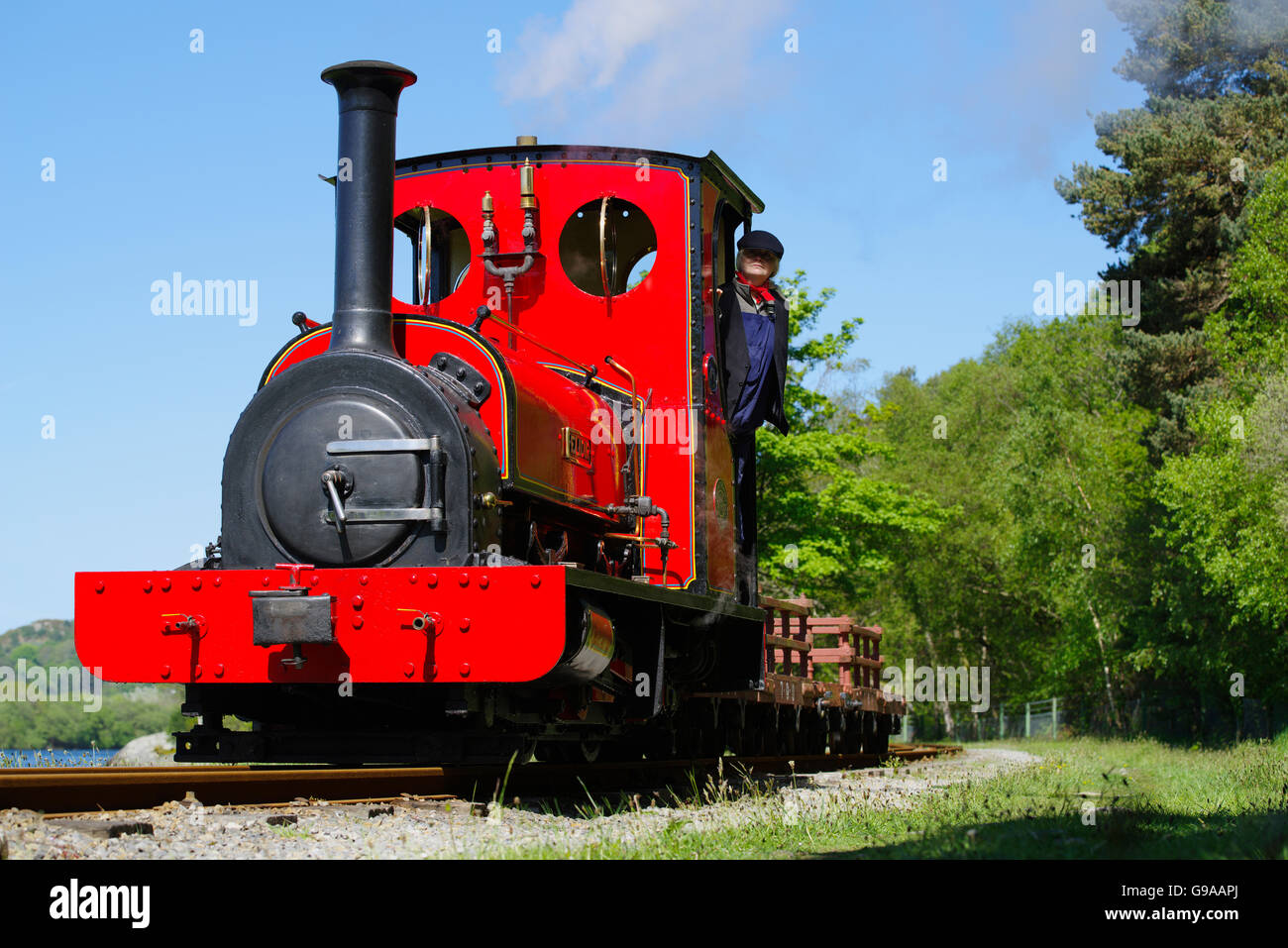 Elidir, Narrow Gauge steam locomotive, Llanberis Lake Railway Banque D'Images