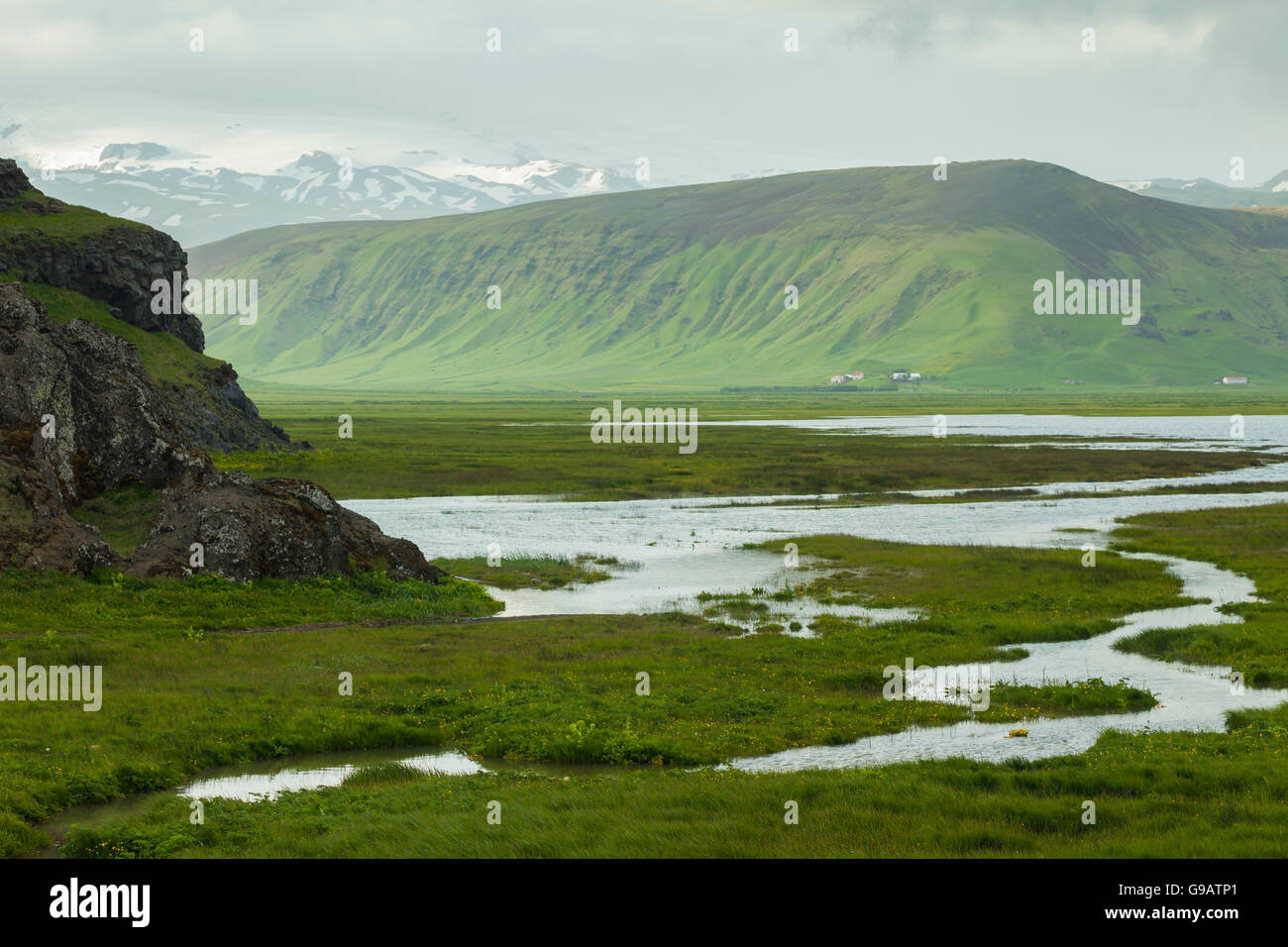 Les zones humides dans le sud de l'Islande. Banque D'Images