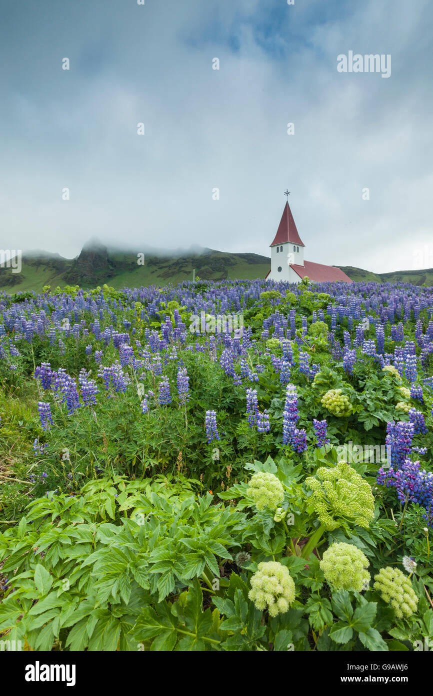 L'emblématique église de Vik, l'Islande. Banque D'Images