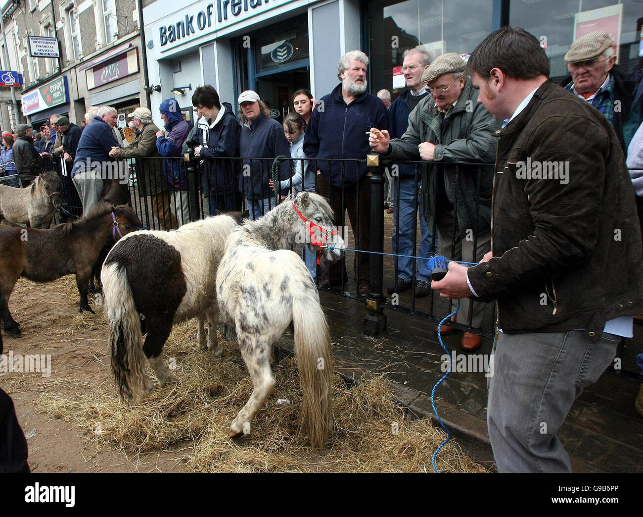 Les commerçants de chevaux montrent leurs animaux au festival de mai de Ballyclar à Ballyclar, Co Antrim. Banque D'Images