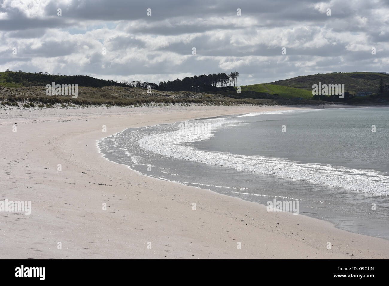 Une longue plage de sable blanc au nord d'Auckland Banque D'Images