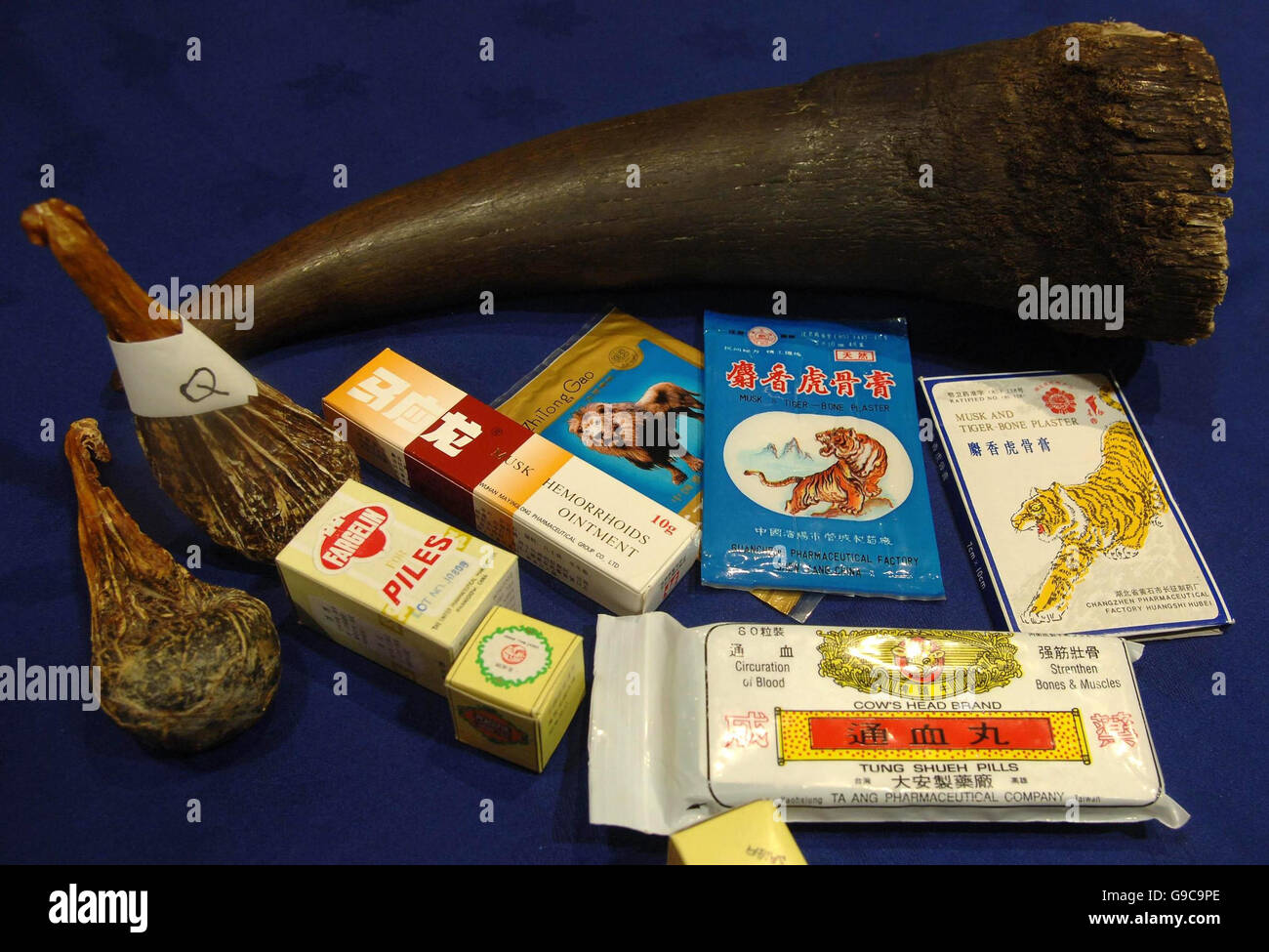 Une gamme de médicaments chinois, y compris une corne de rhinocéros, qui peut contenir des poisons et des parties d'espèces menacées en exposition à la conférence du Trading Standards Institute à Londres . Banque D'Images