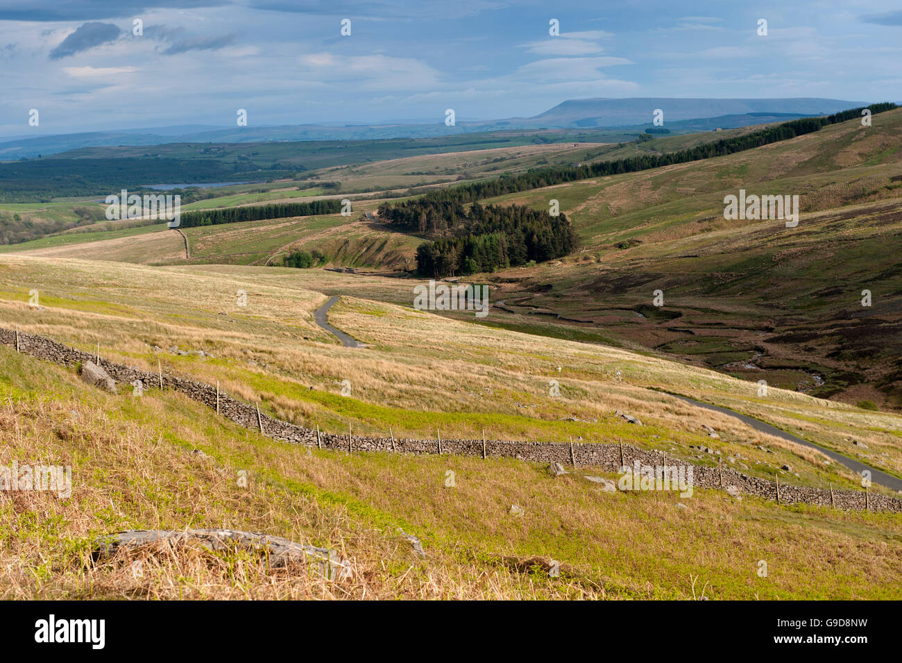 À la partie haute de la vallée Hodder a chuté de Lythe Road au-dessus de Slaidburn dans la forêt de Bowland, Lancashire, Royaume-Uni. Banque D'Images