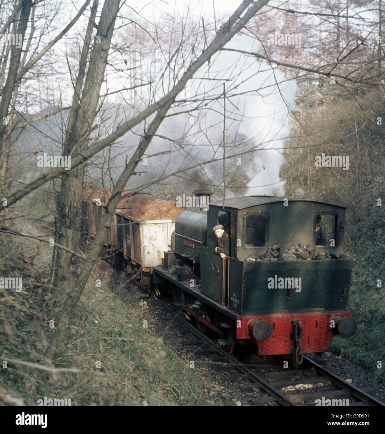 Storefield l'Ironstone 0-6-0ST No 49 Caerphilly, ex-Stewarts et Lloyds minéraux, à la tête d'un train chargé par la coupe de bois Banque D'Images