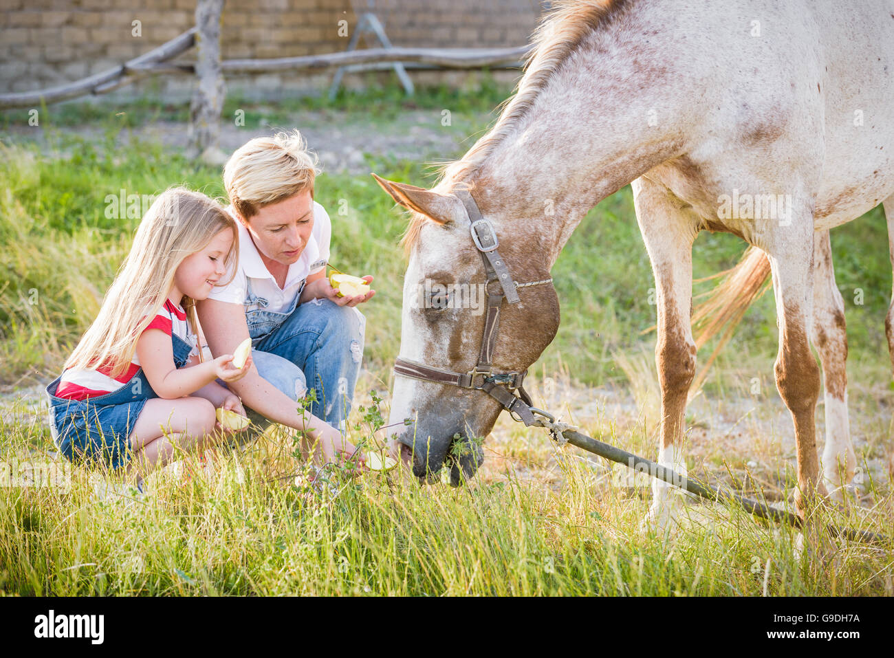 Mère et fille se nourrir un cheval une pomme dans le goujon. Banque D'Images