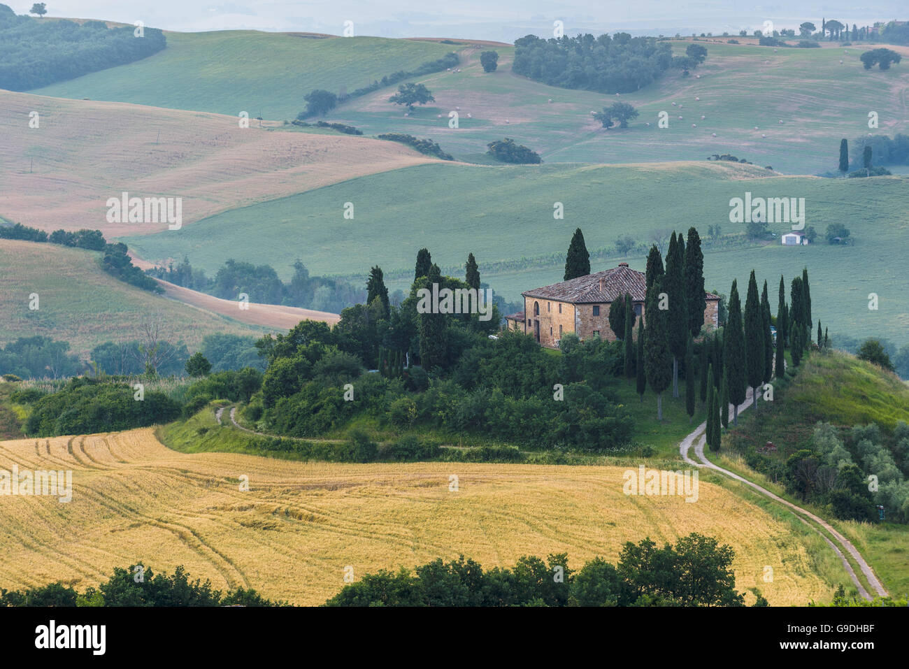 Très beau paysage de brouillard le matin Banque D'Images