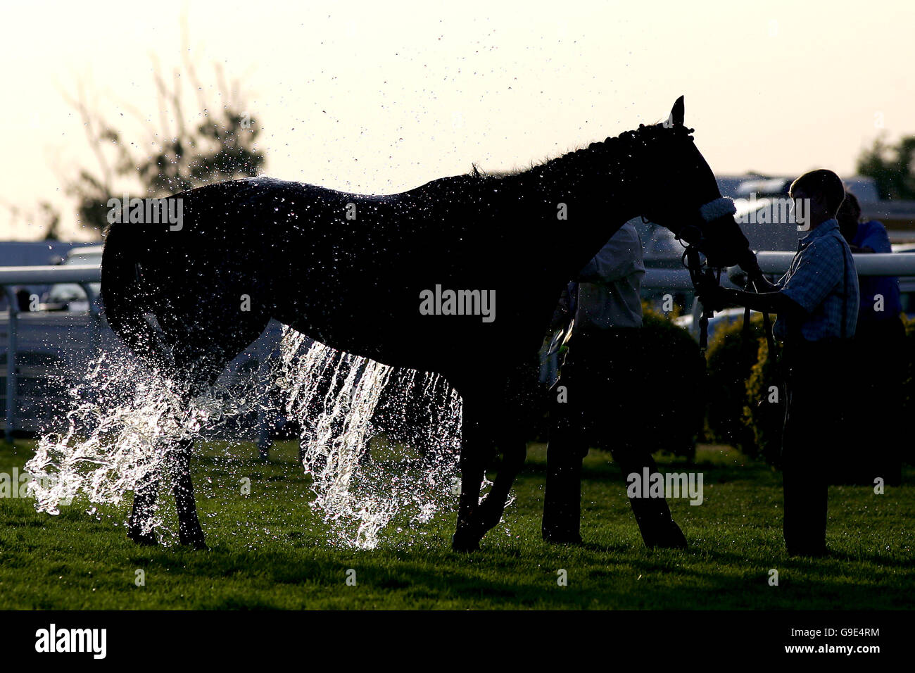 Courses hippiques - Epsom Live! Avec UB40 - Hippodrome d'Epsom Downs. Les chevaux sont refroidis par temps chaud Banque D'Images