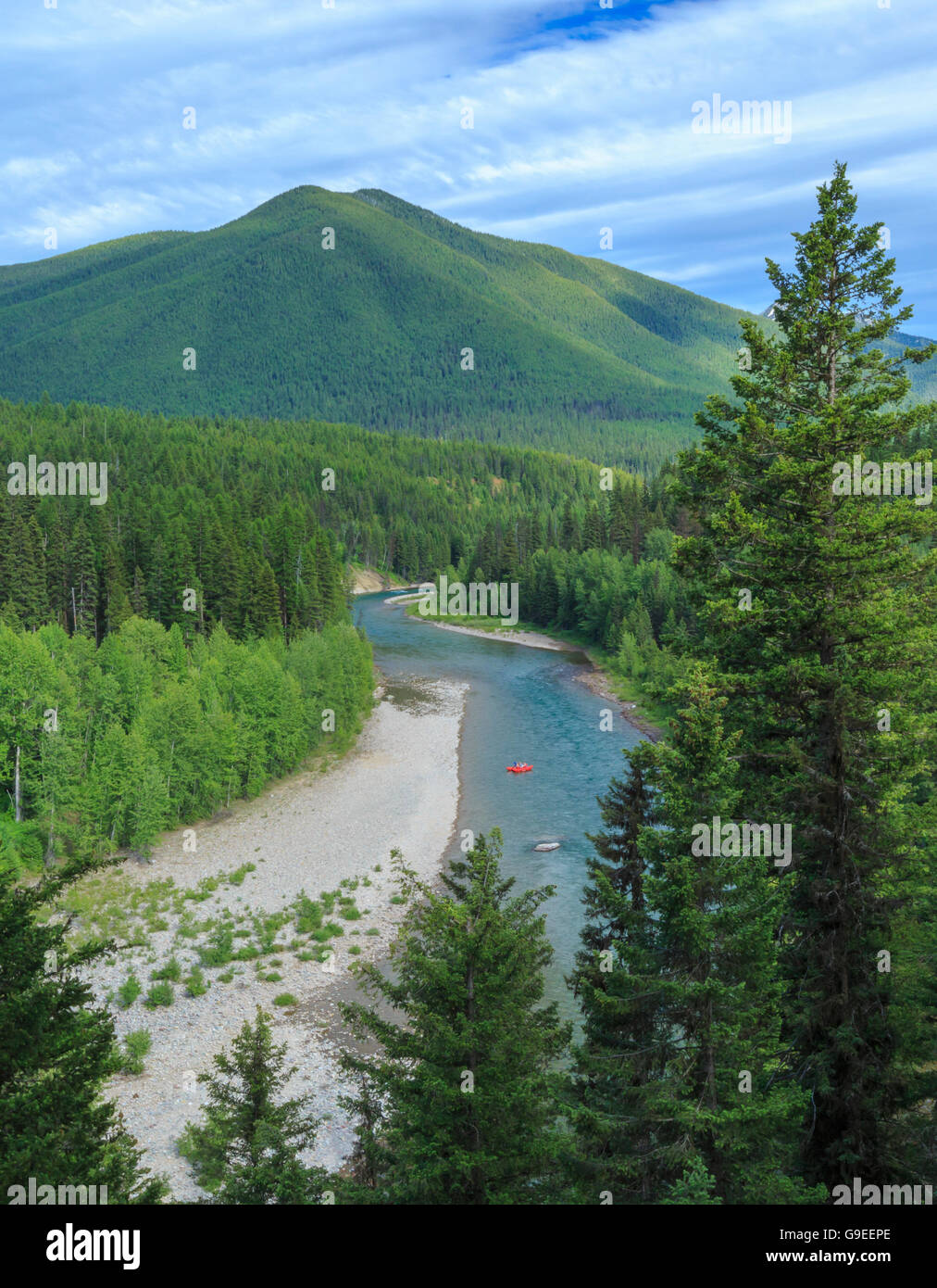 Les chevrons sur le milieu fork river près de Essex, Montana Banque D'Images