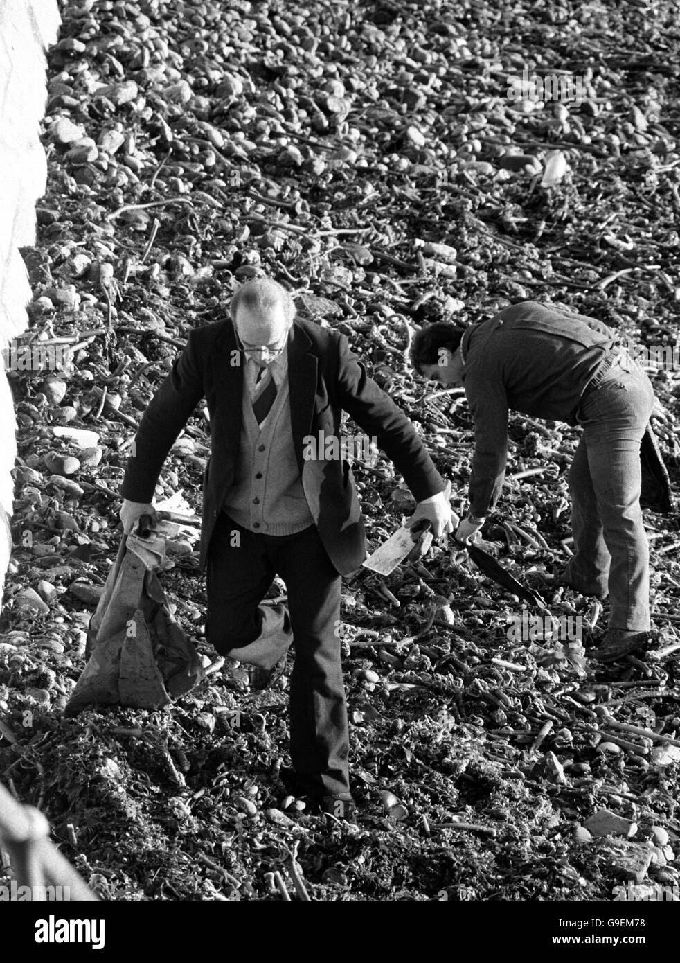Désastre de Solomon Browne.Les chercheurs tacherent du bois flotté et des débris sur la plage. Banque D'Images