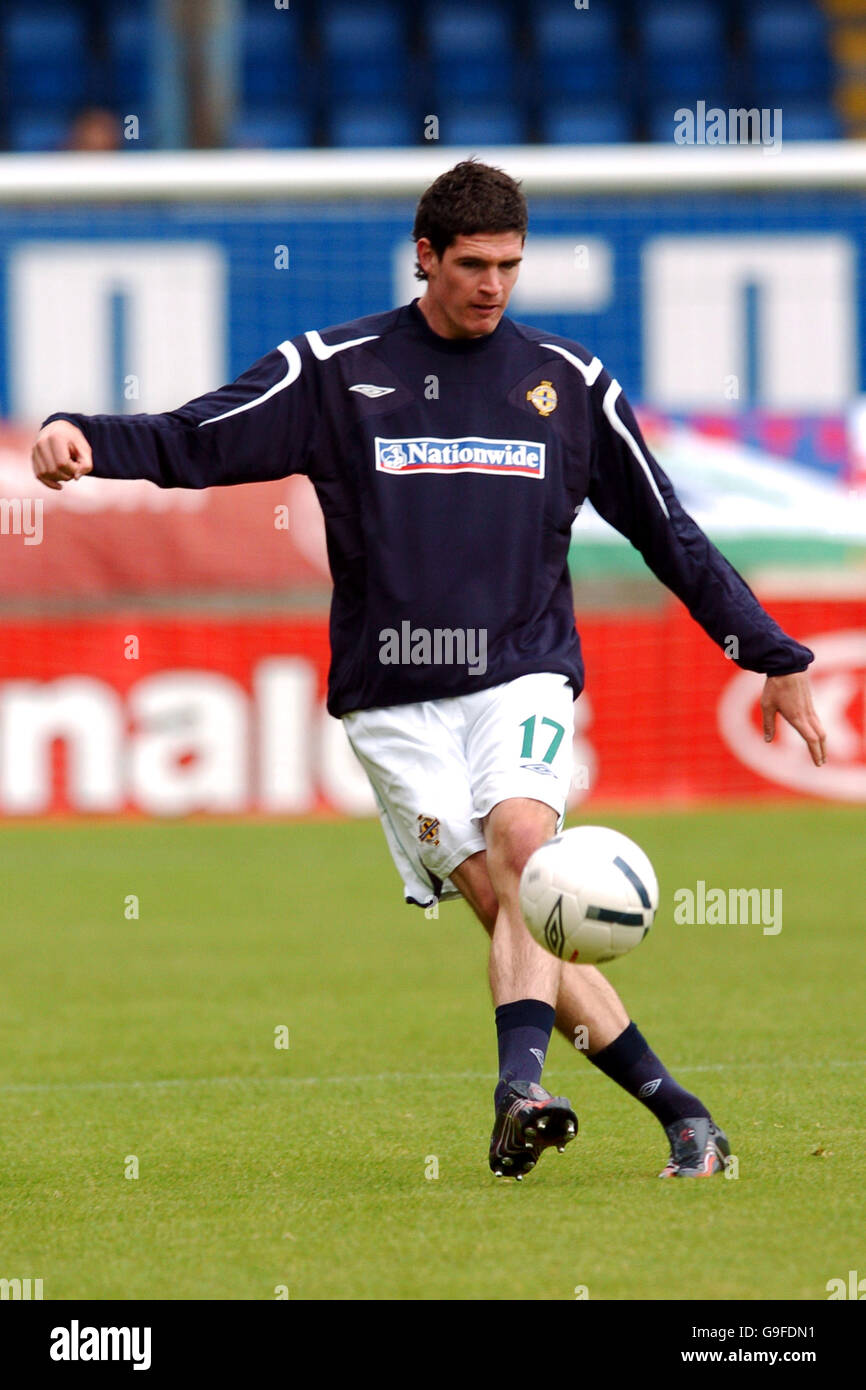 Soccer - Championnat d'Europe UEFA 2008 Qualifications - Groupe F - Irlande du Nord v Islande - Windsor Park Banque D'Images