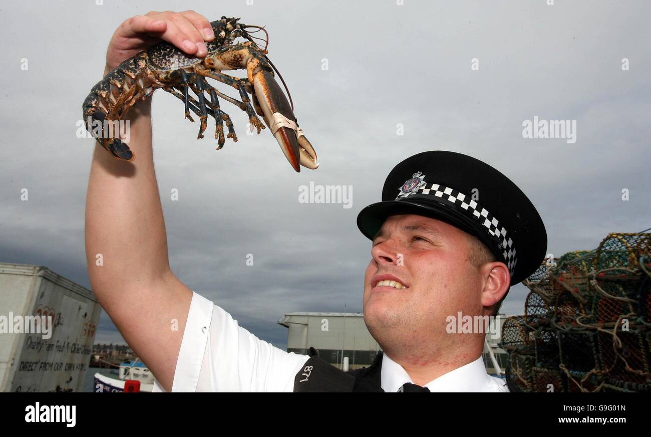 Le gendarme Dean Whiting de la police de Cleveland qui est à la chasse de 120 homards qui ont été volés du quai à poissons de Hartlepool. Banque D'Images