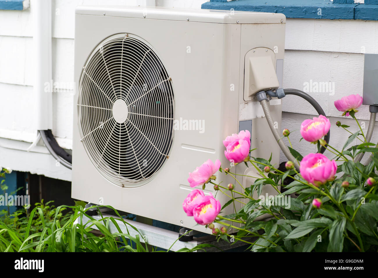 La climatisation/pompe à chaleur sur le côté d'une maison parmi les fleurs. Banque D'Images