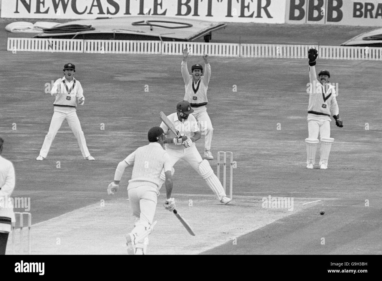 Le gardien de cricket australien Rodney Marsh (r) appelle Graham Gooch, l'anglais (c) est piégé lbw par Terry Alderman (hors pic) Banque D'Images