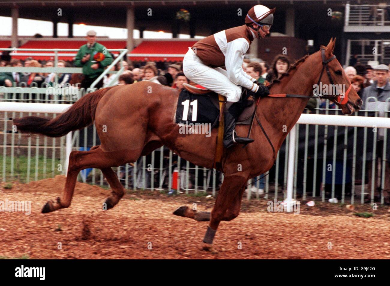 Les courses de chevaux - Cheltenham Festival - Le Champion Hurdle Challenge Trophy Smurfit Banque D'Images