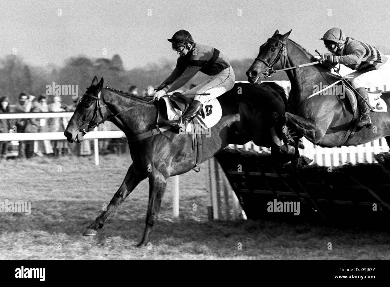 Les courses de chevaux - Ladbroke Obstacle Noël - Kempton Park Banque D'Images