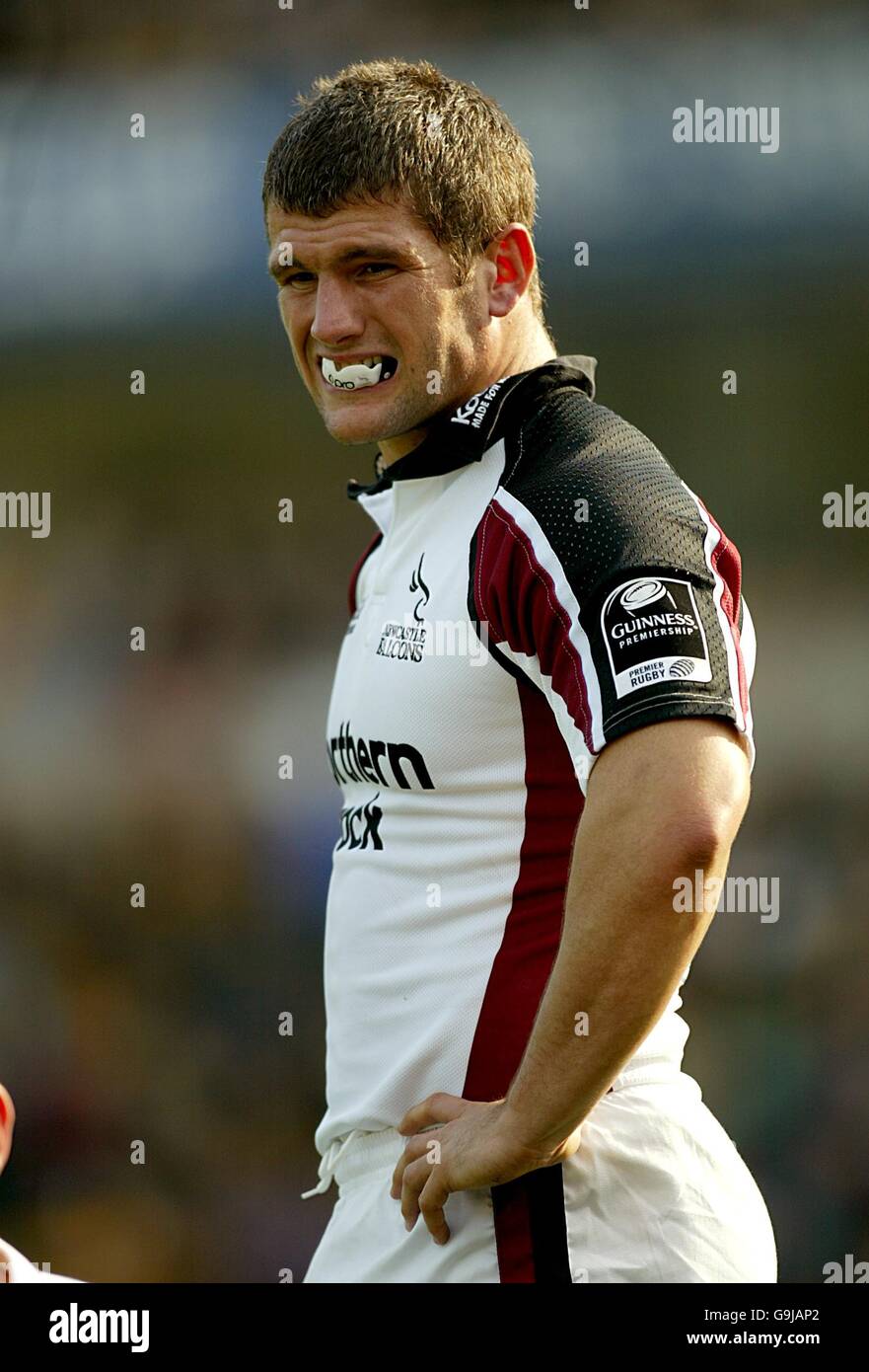 Rugby Union - Guinness Premiership - London Wasps / Newcastle Falcons - Causeway Stadium.Newcastle Falcons Matt Thompson Banque D'Images