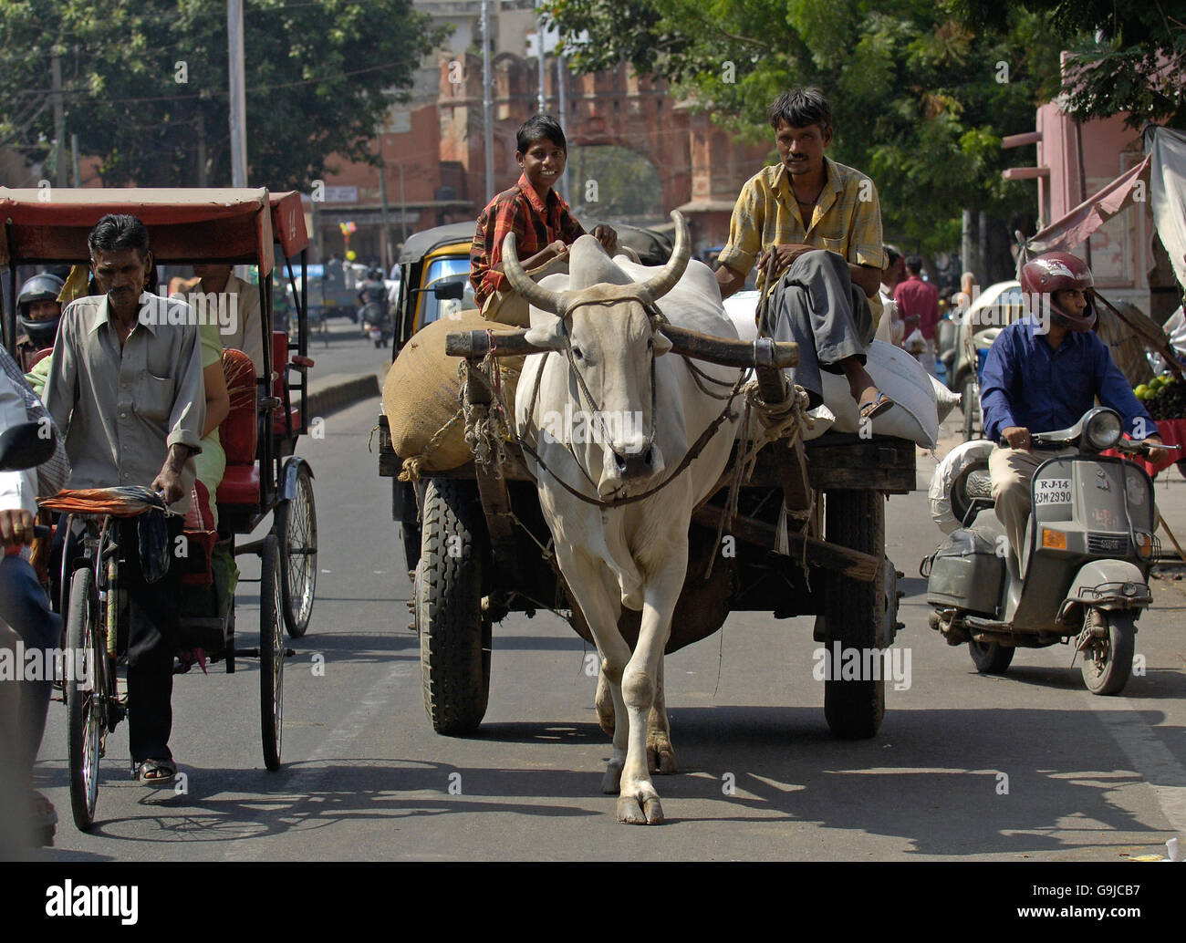 Un boeuf et un chariot fait son chemin à travers les rues de la ville rose, Jaipur, Inde. Banque D'Images
