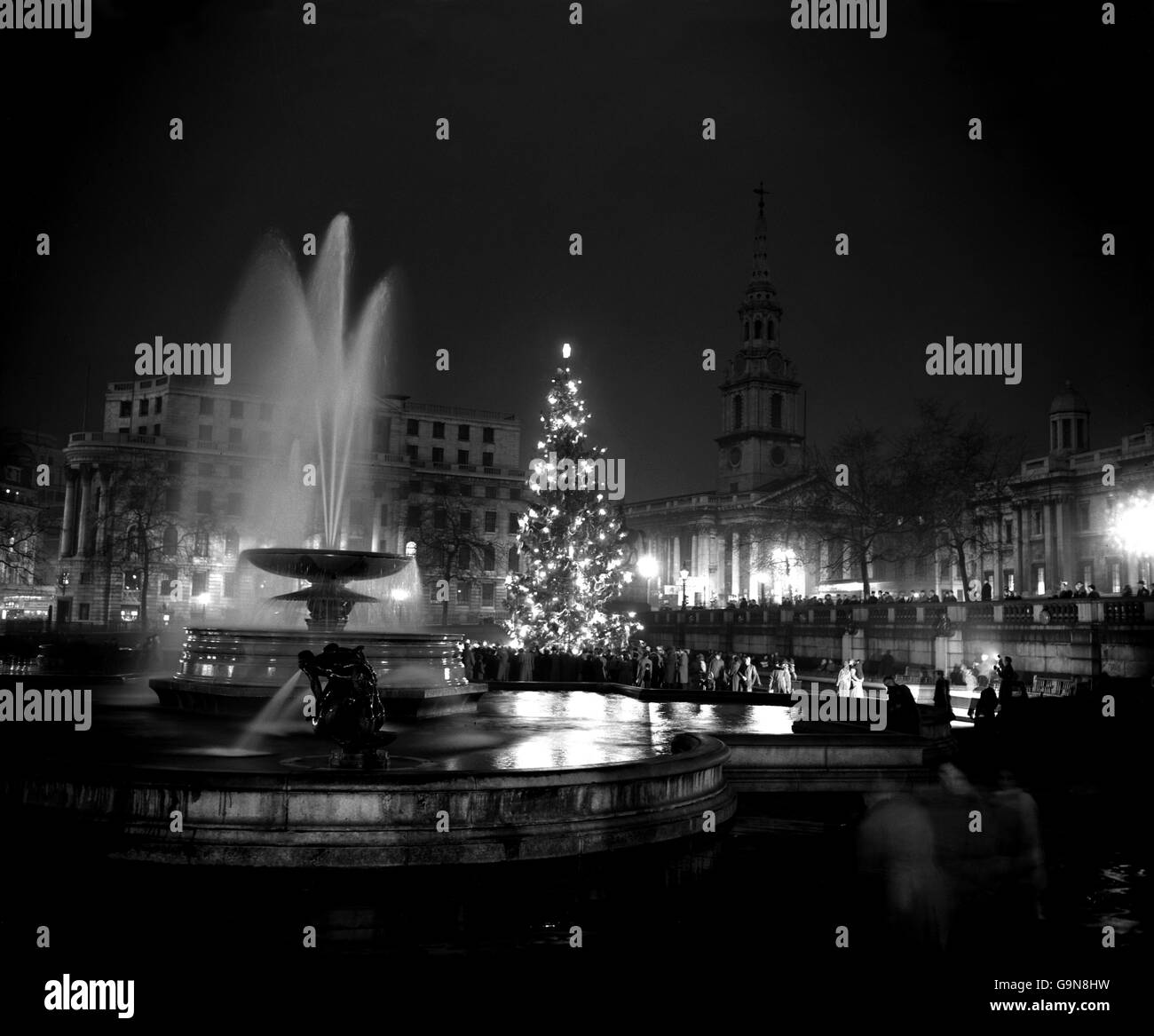 La scène de Trafalgar Square, alors que l'arbre de Noël de Londres scintille avec la lumière après la mise en marche de ses illuminations. L'arbre, un sapin géant présenté au peuple de Londres par le peuple d'Oslo, en Norvège, est le septième arbre à venir aux Londoniens de Norvège comme cadeau annuel. Banque D'Images