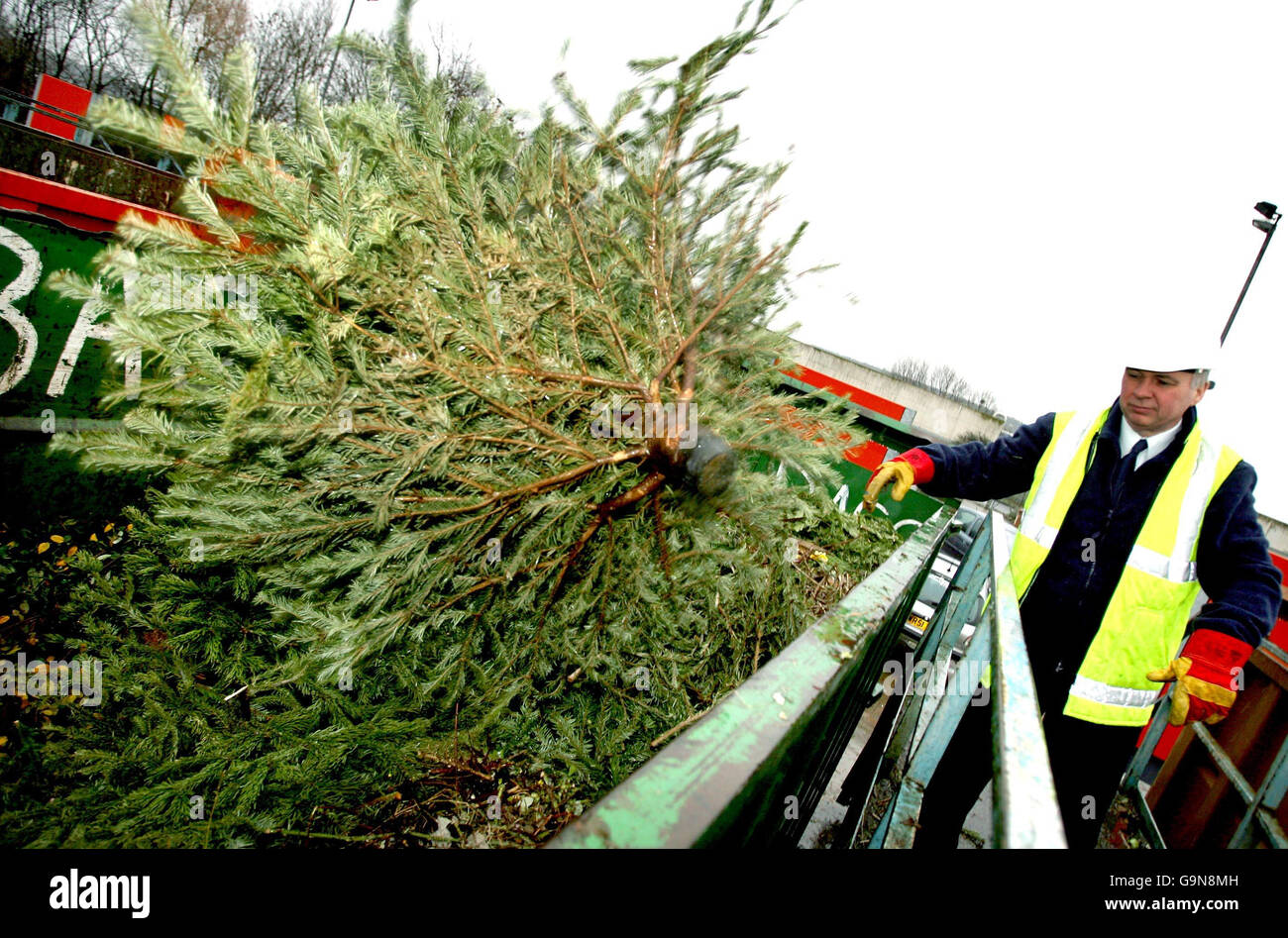 John Whelan jette un arbre de Noël dans un conteneur de recyclage au centre de recyclage des 
