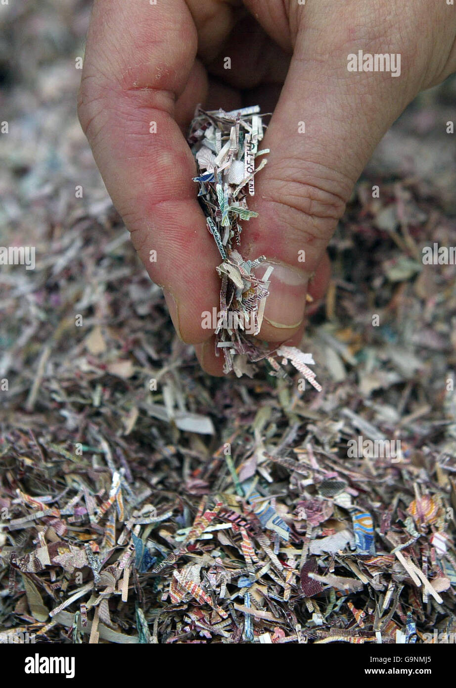 Notes écossaises déchiquetées. L'argent dure normalement deux ans et est trié par une machine qui détermine quand une note est trop endommagée pour rester en circulation. Photo prise au Musée sur la Mound Édimbourg. Banque D'Images