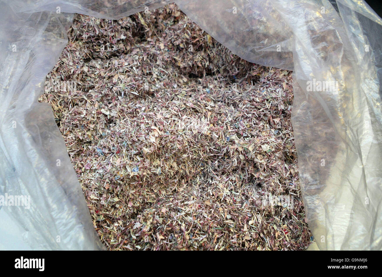 Notes écossaises déchiquetées. L'argent dure normalement deux ans et est trié par une machine qui détermine quand une note est trop endommagée pour rester en circulation. Photo prise au Musée sur la Mound Édimbourg. Banque D'Images