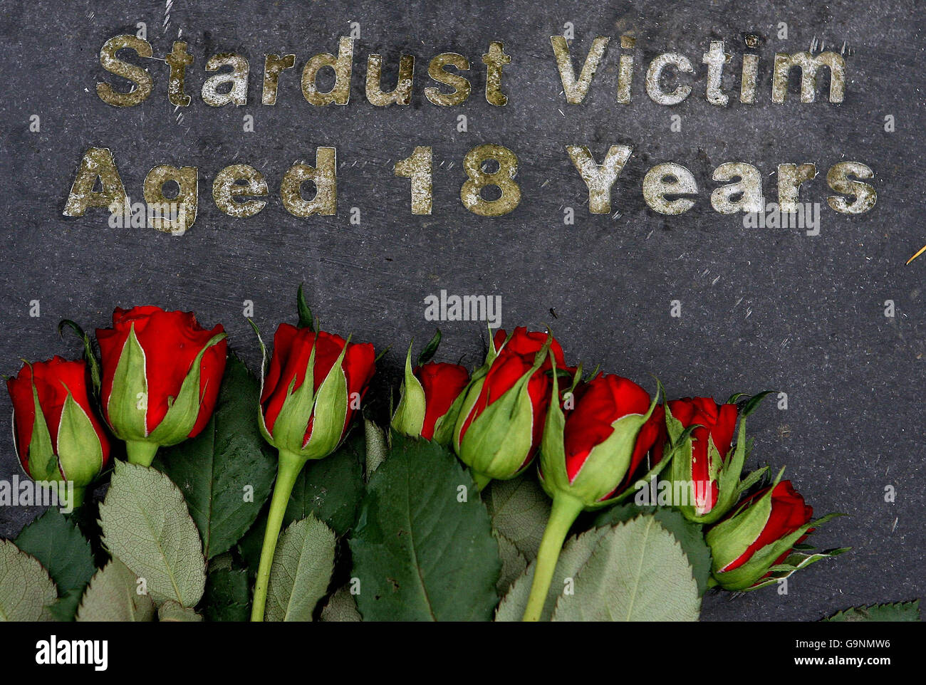 Fleurs sur la tombe des victimes non identifiées d'un incendie de boîte de nuit de Dublin, au cimetière St Fintan à Sutton. Banque D'Images