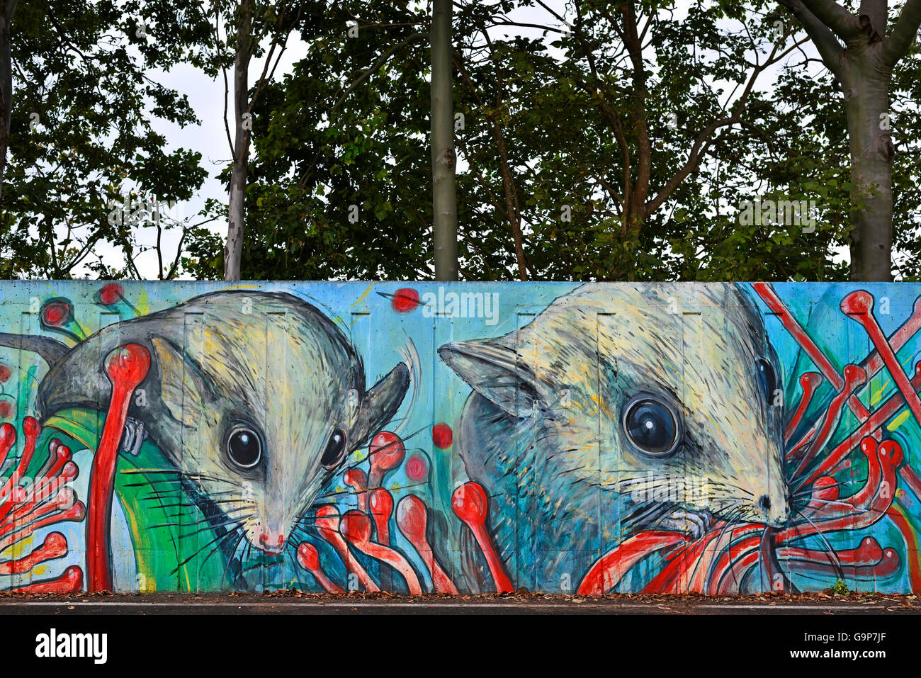 Peinture murale sur le mur de la faune d'inondation levy représentant à Murwillumbah dans le nord de la Nouvelle-Galles du Sud, Australie Banque D'Images