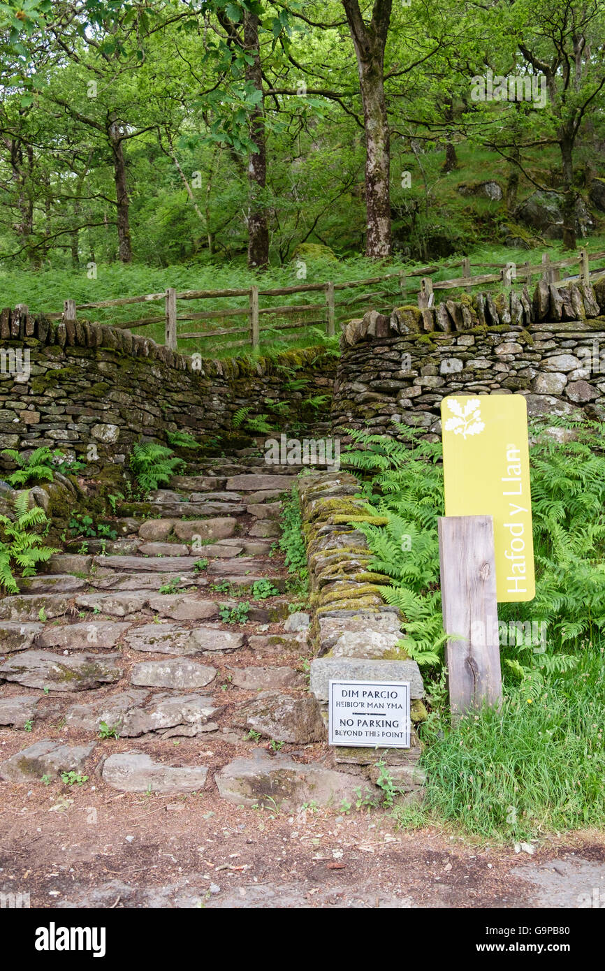 Signes par des marches en pierre au début de Watkin path itinéraire par woodland à Mt Snowdon. Hafod y Llançà, Nant Gwynant, Galles, Royaume-Uni Banque D'Images