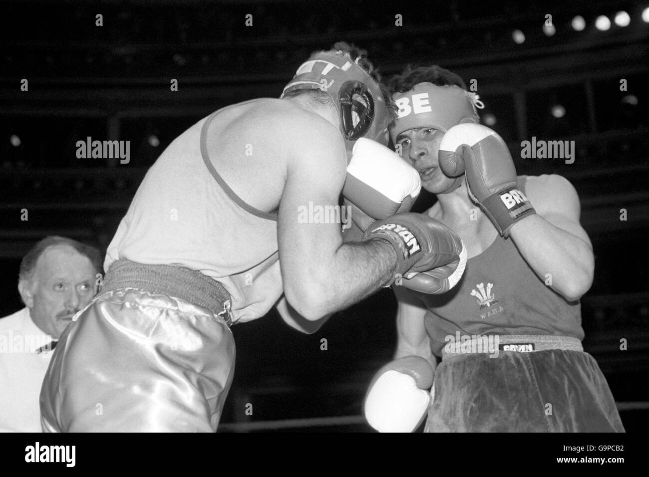 Boxe - Joe Calzaghe v Français Trevor Banque D'Images