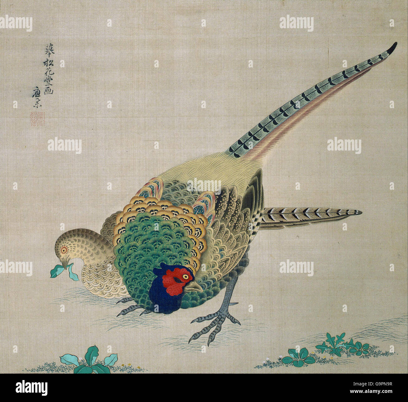 Maruyama Okyo - Hanging Scroll (paire de faisans) Banque D'Images