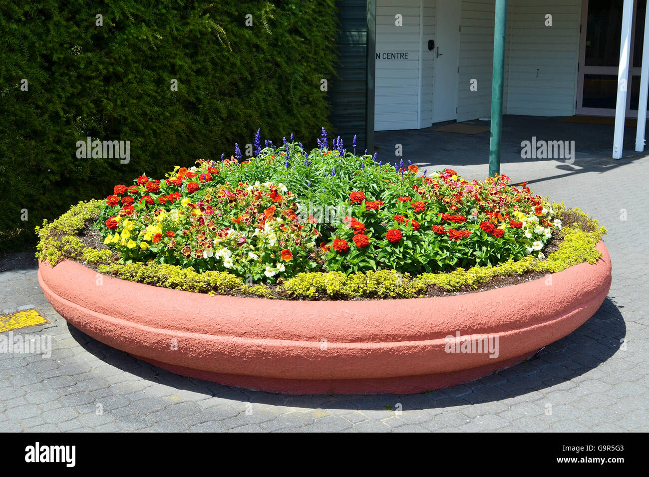 Détails décoratifs de vase avec des fleurs colorées à Hamilton à Auckland, Nouvelle-Zélande Banque D'Images