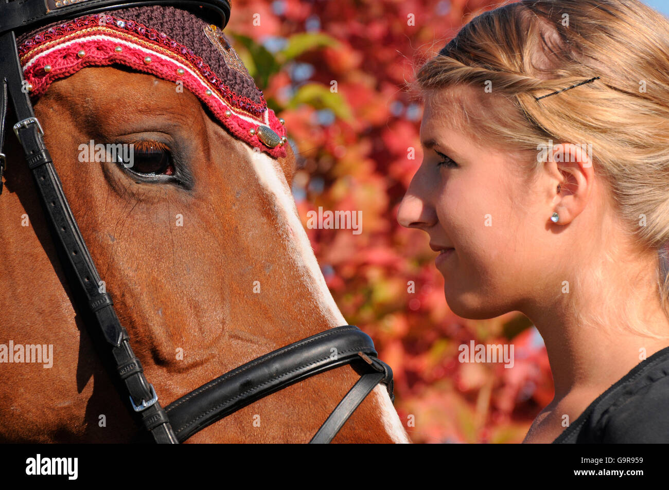 Femme avec bride / Warmblood allemand Banque D'Images